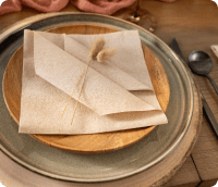 Naperee 3-ply Napkins - Naptec Paper