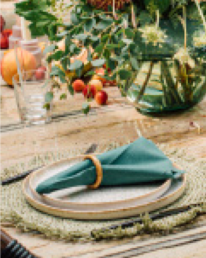 Colored Napkins