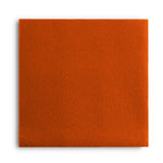 Luminous Orange